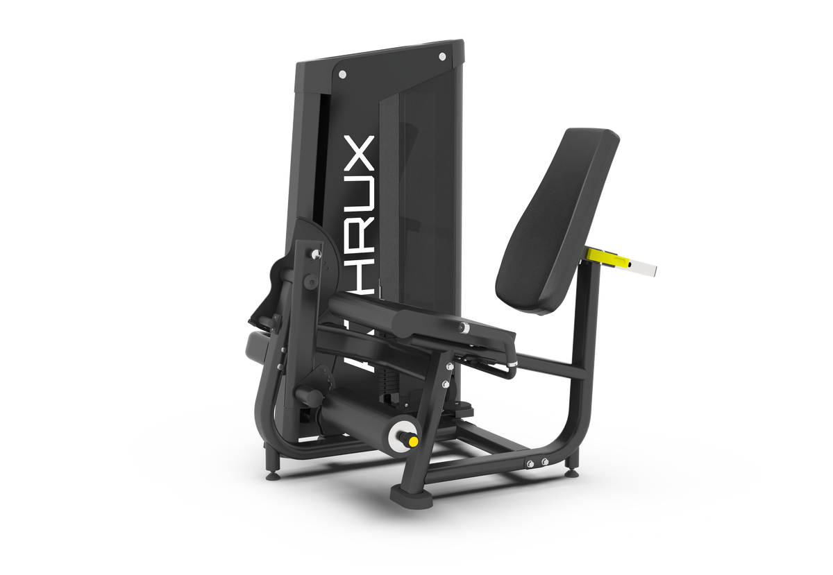 Leg Extension