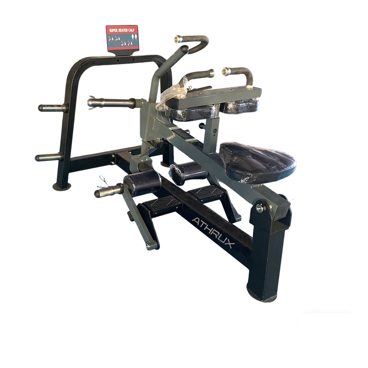 Super Seated calf