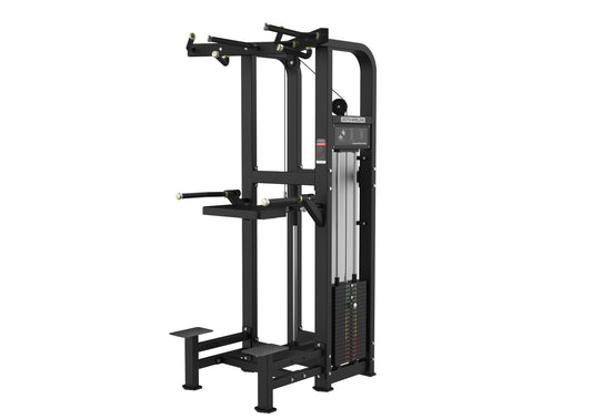 ASSISTED PULL UP/DIPS