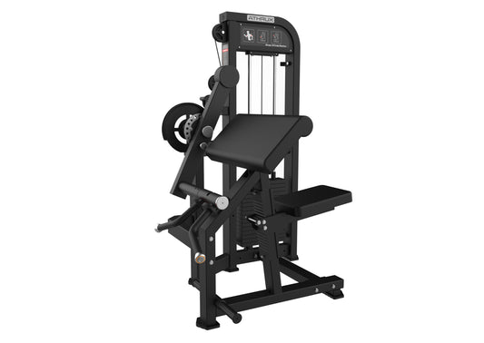 SEATED BICEP/TRICEP EXTENSION