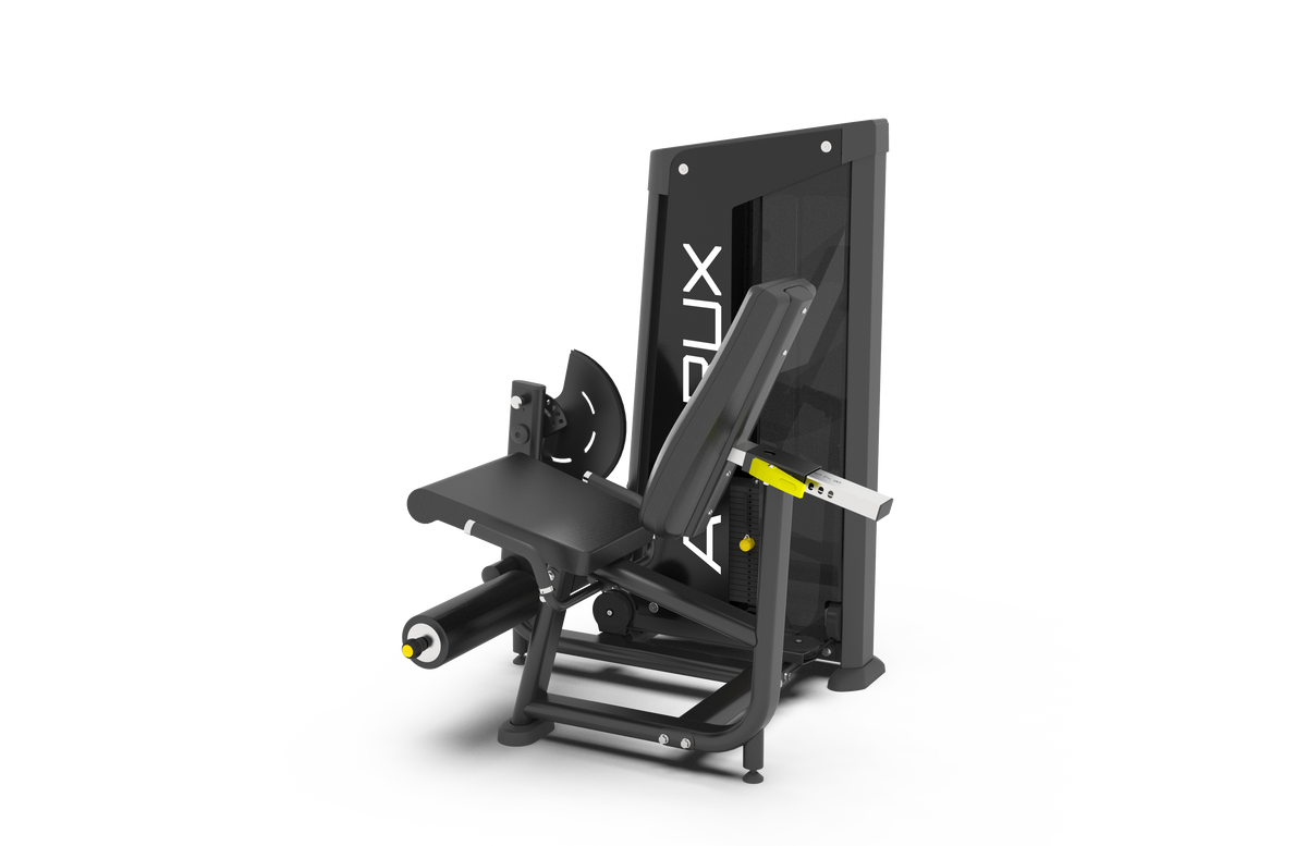 Leg Extension