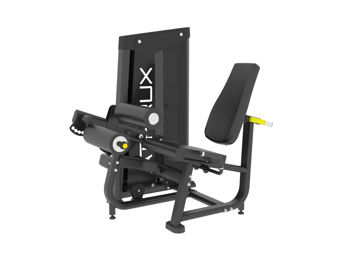 Seated Leg Curl