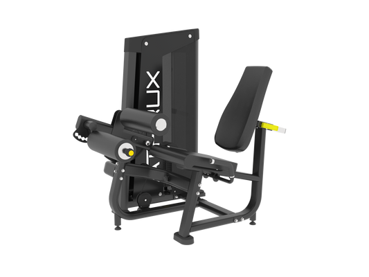 Seated Leg Curl
