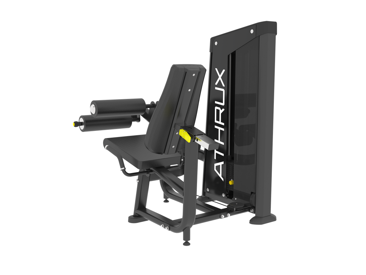 Seated Leg Curl