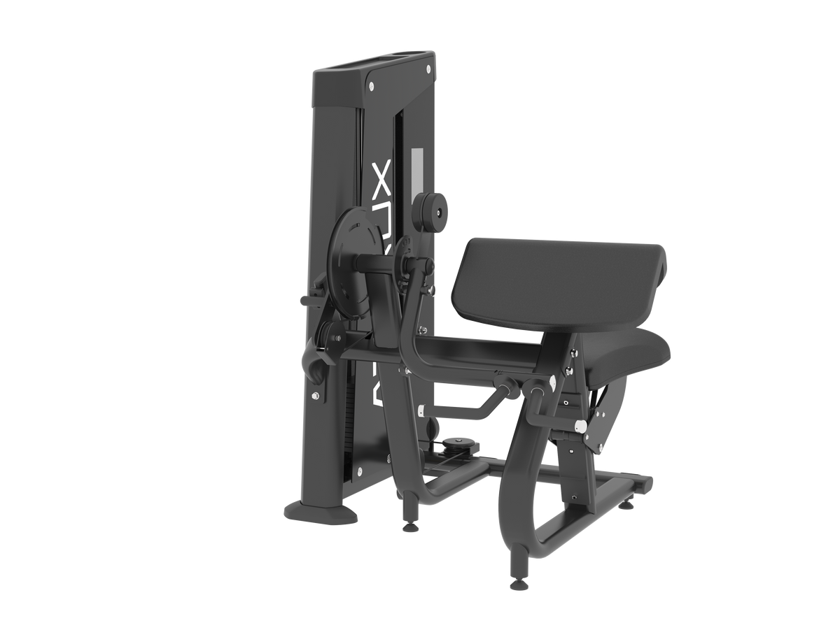 Biceps/Triceps