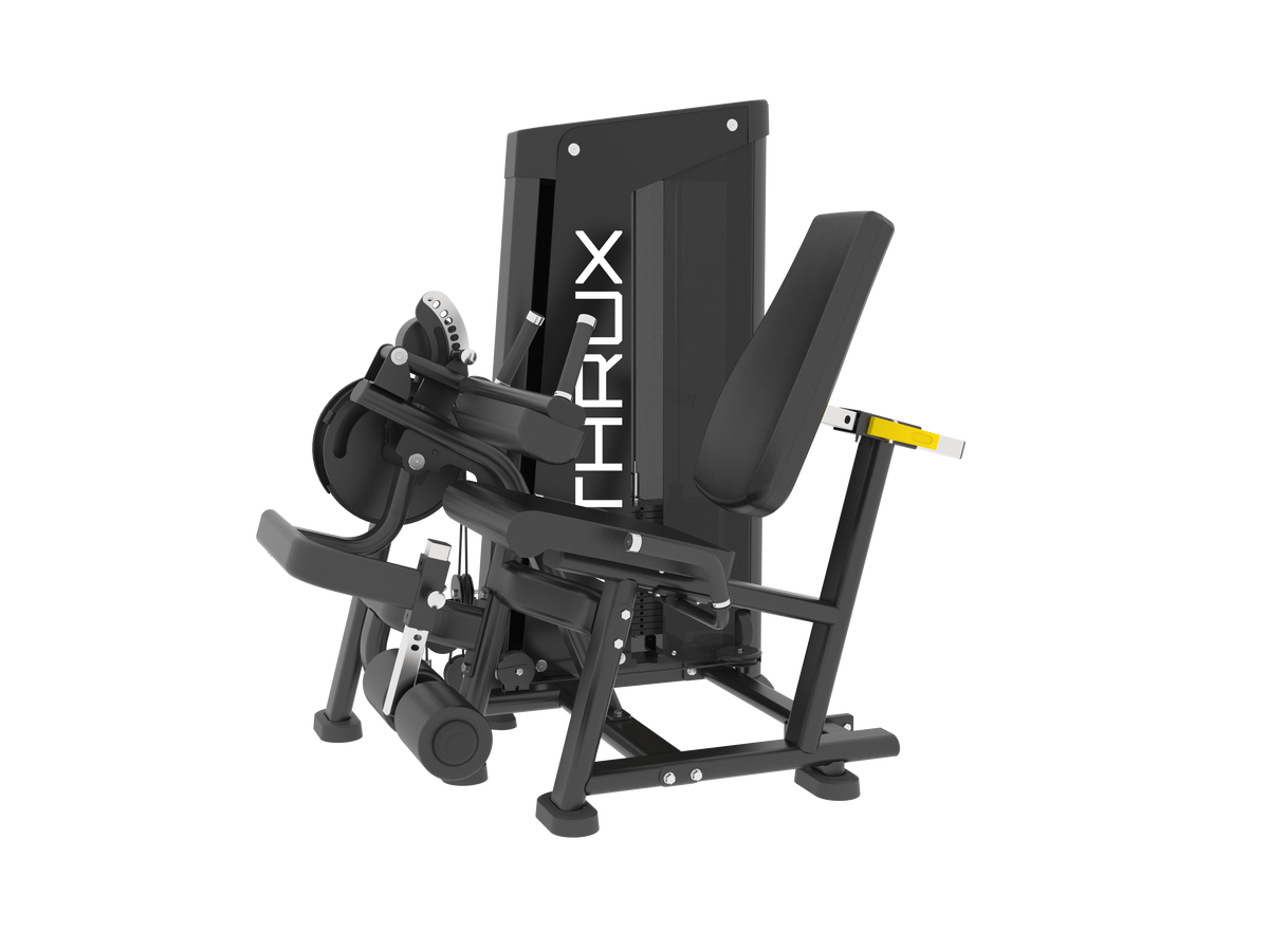 Leg Extension/Curl