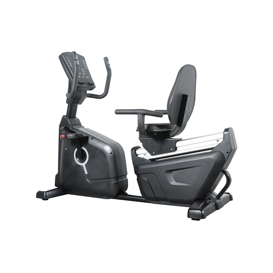 Recumbent Bike